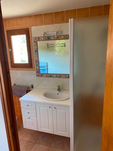 a bathroom with a sink and a mirror at Chambre d'hôtes une fenêtre sur le Ventoux in Plaisians