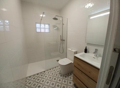 a bathroom with a shower and a toilet and a sink at Apartamento Turístico La Miranda in Elche de la Sierra