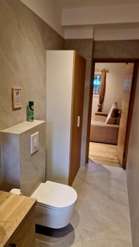 a bathroom with a white toilet in a room at Studio cosy avec jacuzzi , sauna et salle de sport in Vallauris