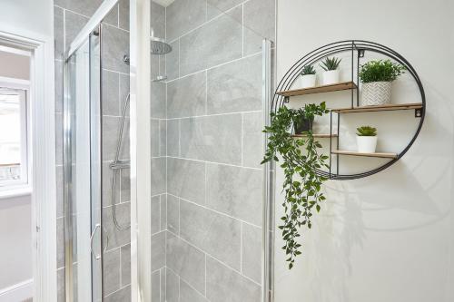 a shower with a glass door with plants on shelves at The Madison Garden in Whitby