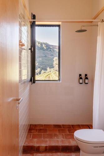 a bathroom with a toilet and a window at Casa do Lagar by Quinta de Recião in Lamego