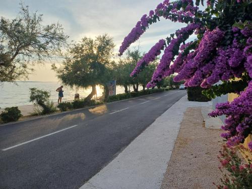Apartments Matesic