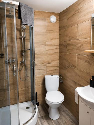 a bathroom with a toilet and a shower at Domki POD ŚNIEŻNĄ in Marianówka