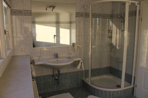 a bathroom with a sink and a shower at Hotel-Restaurant Faustschlössl in Feldkirchen an der Donau