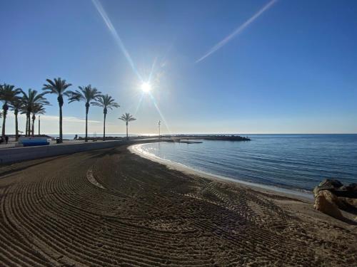 ZEN à TORREVIEJA photo 10