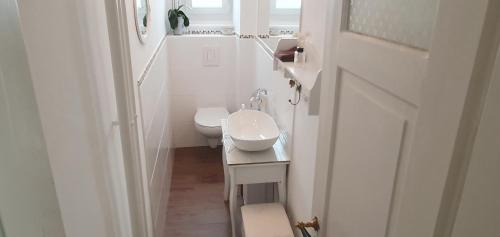 Stilvolle 2-3 Zimmer Apartments im Gertrud Schlössli - zentral ruhig