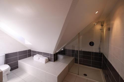 an attic bathroom with a shower and a toilet at Brae Cottage in Dunvegan