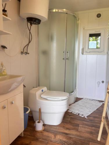 a bathroom with a toilet and a shower and a sink at Luční domek in Protivín