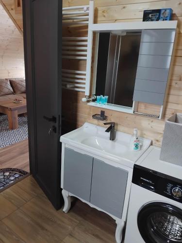 a bathroom with a sink and a washing machine at Cottage MTIS DZIRSHI in Ach'khoti