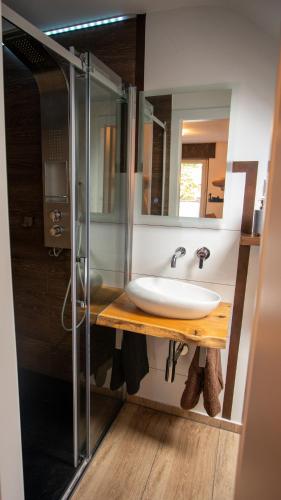 a bathroom with a sink and a glass shower at Ferienwohnung Xantener Südsee in Xanten