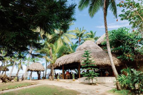 a resort with palm trees and a beach at Natura Cabana Boutique Hotel & SPA in Cabarete