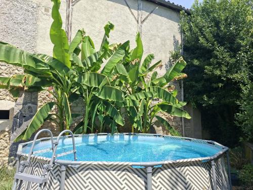 a swimming pool in a basket next to a plant at Pause ton sac in Condom