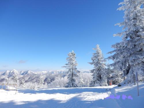 a snow covered slope with snow covered trees and mountains at Hotel Sunny Shiga in Yamanouchi