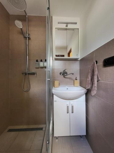 a bathroom with a white sink and a shower at Broumík - chata s výhledy in Opočno