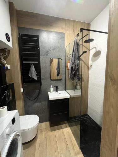 a bathroom with a toilet and a sink and a shower at Apartament nad rzeką in Głuszyca