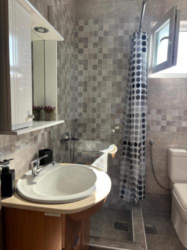 a bathroom with a sink and a shower at Lily Bloom Apartments in Radanovići
