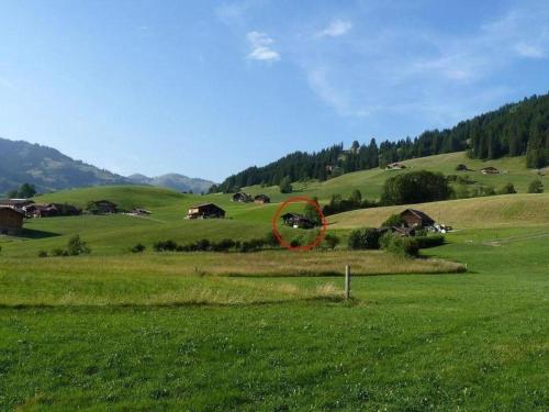 Apartment Aerneli- Chalet Appartement-Fewo- Dusche oder Bad- WC 6-Bettwohnung by Interhome