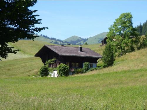 Apartment Aerneli- Chalet Appartement-Fewo- Dusche oder Bad- WC 6-Bettwohnung by Interhome