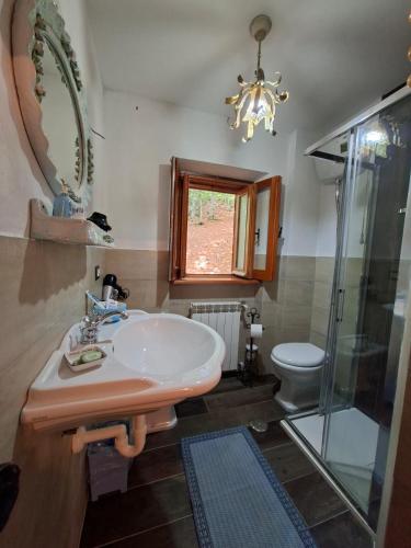 a bathroom with a sink and a toilet and a chandelier at Baita degli Alpini in Terminillo