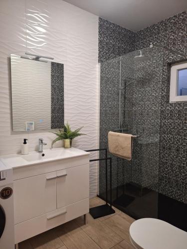 a bathroom with a shower and a sink and a toilet at Refúgio da Corcha T0 casa de campo e mar Zambujeira do mar in Fataca