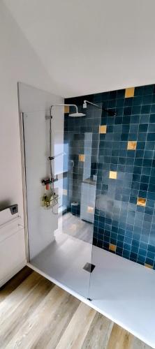 a bathroom with a shower with a glass door at Gîte du Tilleul in Beire-le-Châtel