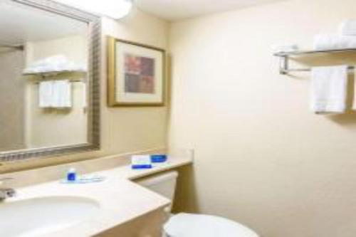 a bathroom with a sink and a toilet and a mirror at Hermitage Hotel Richmond Virginia in Richmond