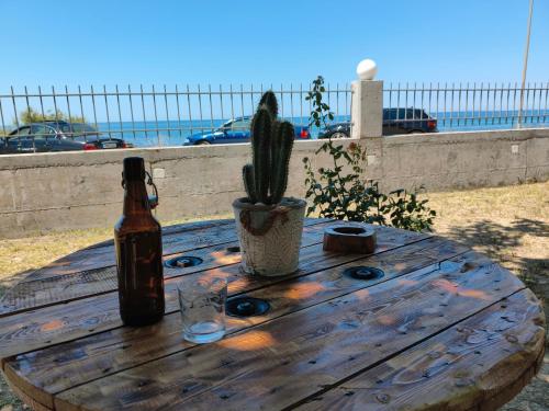 a wooden table with a bottle of beer and a cactus at Sun N Sand in Ligia