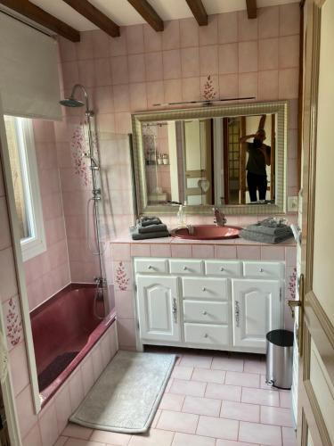 a pink bathroom with a tub and a sink at Les Chambres de Paule in Thieulloy-lʼAbbaye