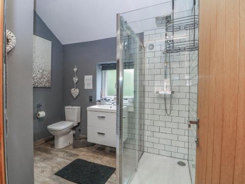 a bathroom with a shower with a toilet and a sink at Barn 2 in Sandbach