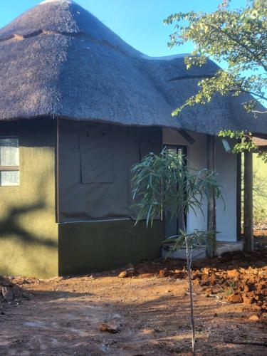 a hut with a thatched roof with a plant in front at Tsetsebjwe Bush Camp in Otse