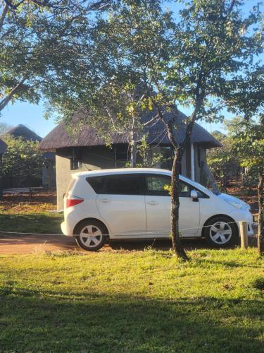 a white car parked under a tree in front of a house at Tsetsebjwe Bush Camp in Otse