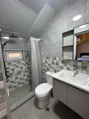 a bathroom with a toilet and a sink at Corner house in Kobuleti
