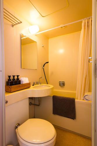 a bathroom with a toilet and a sink and a mirror at Kamishiro Mountain Lodge in Hakuba