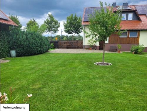 a yard with a green lawn with a tree in it at Ferienwohnung Buschmühle Schlepzig in Schlepzig