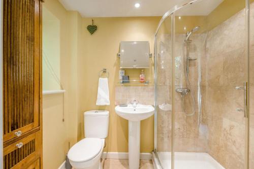 a bathroom with a toilet and a shower and a sink at 3 Bed in Briningham oc-s44878 in Banningham