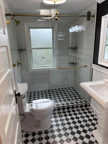 a bathroom with a toilet and a shower and a sink at Pigeon's Roost on Rushmore in Rapid City