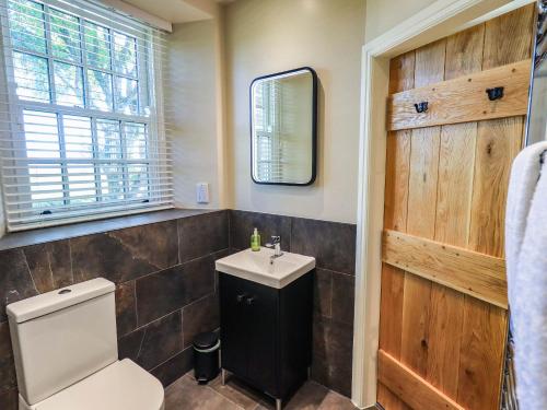 a bathroom with a toilet and a sink and a mirror at Ragged Hall Barn in Settle