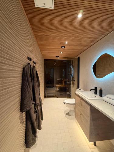 a bathroom with a toilet and a sink at Tyven Resort in Sirkkakoski