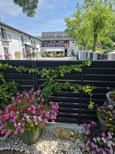 a garden with pink flowers and a black fence at Pensiunea Vila Chesa in Corunca