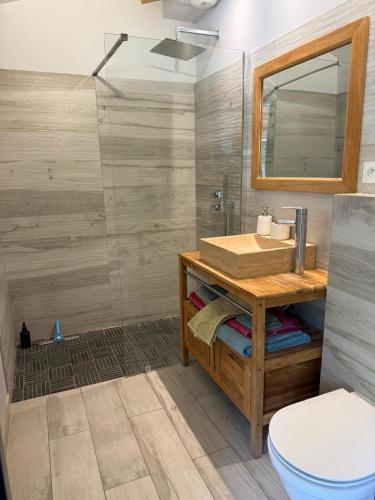 a bathroom with a sink and a toilet at Sous les oliviers - Piscine chauffée - Studios de standing climatisés in Saint-Maximin-la-Sainte-Baume