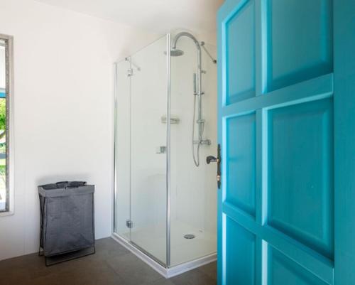 a bathroom with a shower with a glass door at Casa Rustica 1838 in Sovinjak