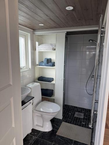 a bathroom with a toilet and a sink and a shower at Skogsviken Guesthouse in Munkedal
