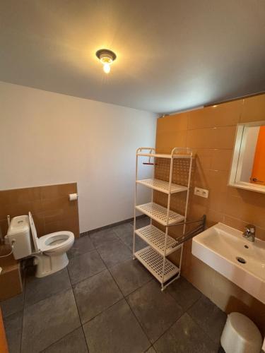 a bathroom with a toilet and a sink at Villa Vallon Pont d'Arc in Vallon-Pont-dʼArc