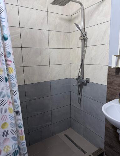 a bathroom with a shower and a sink at Бухта in Nova Dofinivka