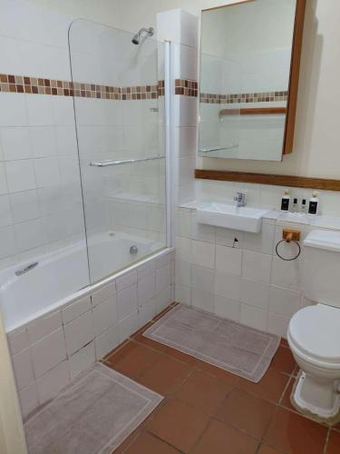 a bathroom with a shower and a toilet and a sink at Nguni Cottage in Graaff-Reinet