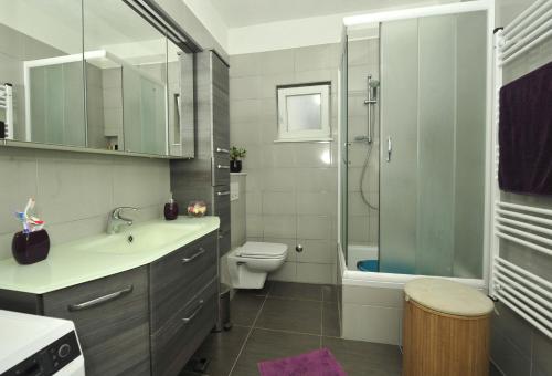 a bathroom with a sink and a toilet and a shower at Green Garden Apartment in Split