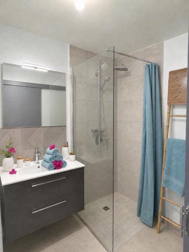 a bathroom with a shower and a sink and a shower at TI kasa cherry in Le Diamant