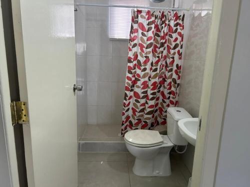 a bathroom with a toilet and a shower curtain at Hidden Gem Savaneta & Private Pool in Savaneta