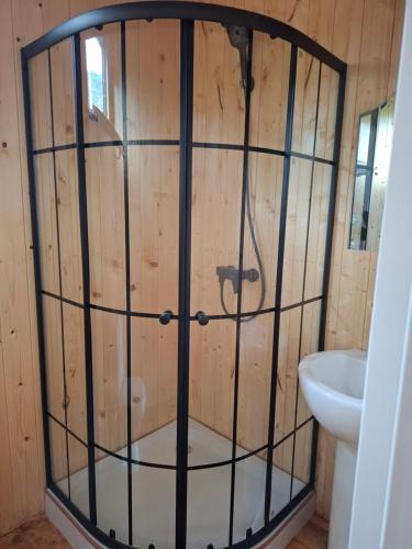 a bathroom with a shower with a toilet and a sink at AnArt resort in Vanadzor
