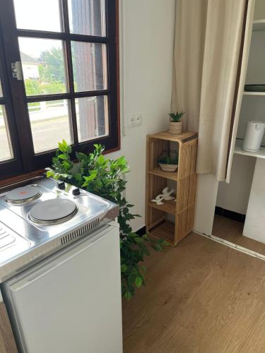 a kitchen with a stove and a plant next to a window at Le Pavillon in Vendôme